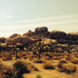 Meet your Posher, Harleena